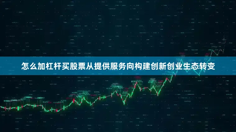 怎么加杠杆买股票从提供服务向构建创新创业生态转变
