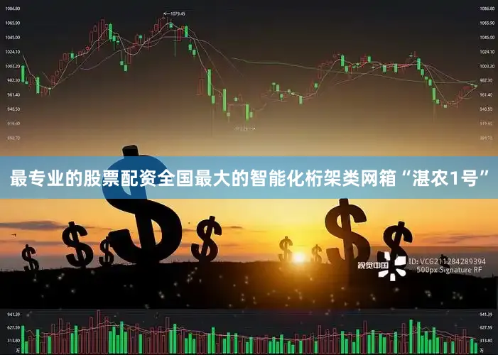 最专业的股票配资全国最大的智能化桁架类网箱“湛农1号”