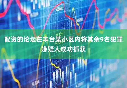 配资的论坛在丰台某小区内将其余9名犯罪嫌疑人成功抓获