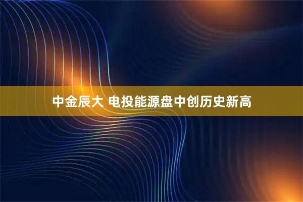 中金辰大 电投能源盘中创历史新高