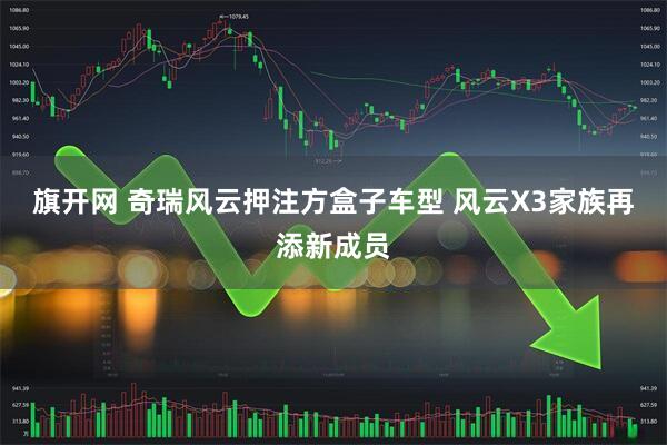 旗开网 奇瑞风云押注方盒子车型 风云X3家族再添新成员