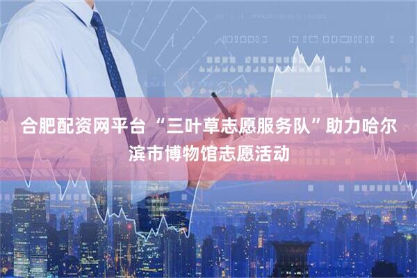 合肥配资网平台 “三叶草志愿服务队”助力哈尔滨市博物馆志愿活动